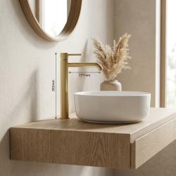 aquanello-eternal-tall-single-handle-sink-faucet-brushed-gold